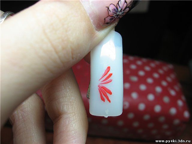 дизайн ногтей бабочки