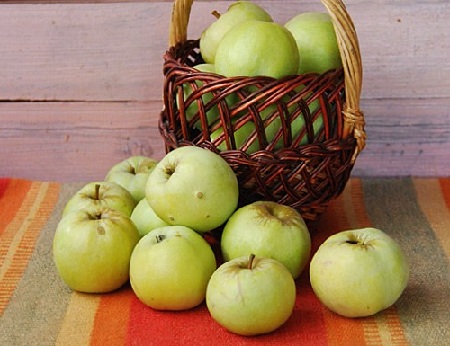 Как сохранить яблоки в течении долгой зимы?